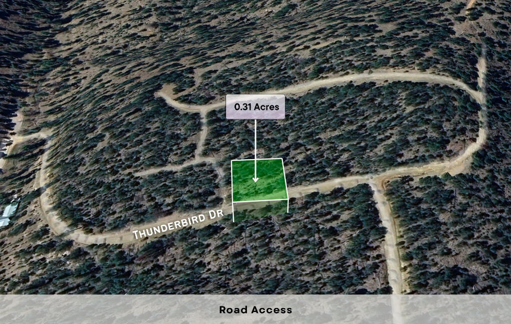 113 Thunderbird Drive