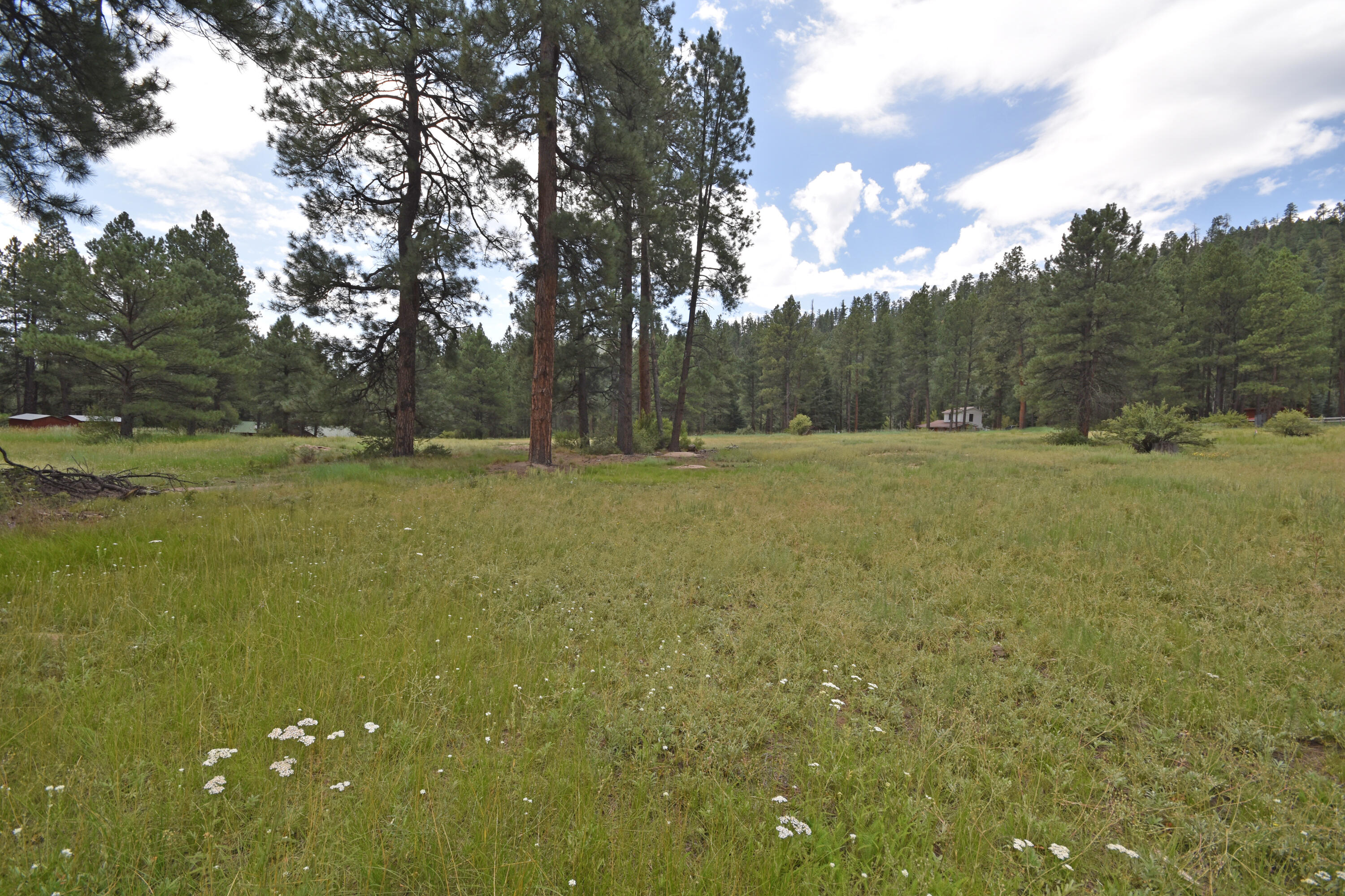 Lot 1 Hidden Valley Road, Jemez Springs, New Mexico image 5