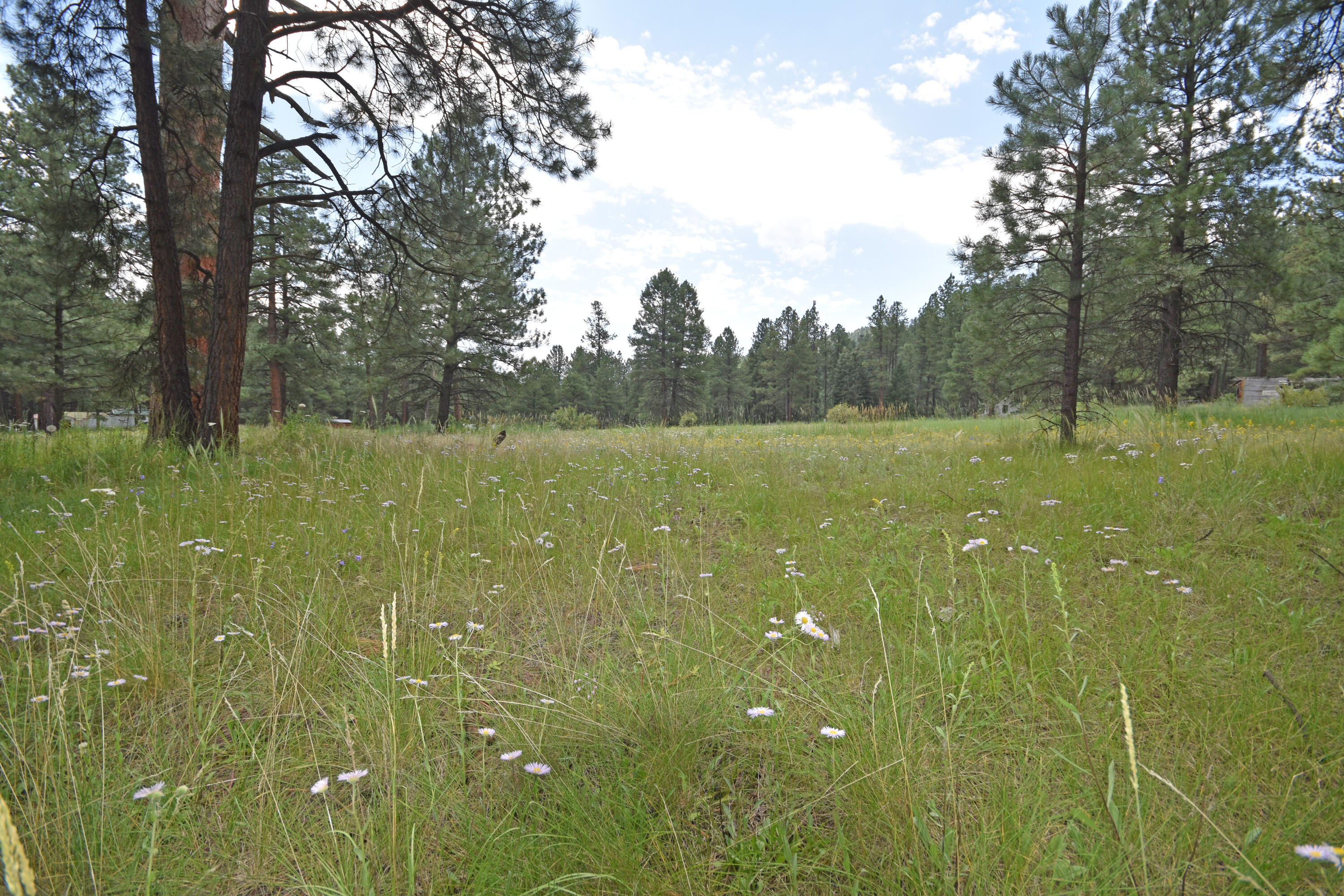 Lot 1 Hidden Valley Road, Jemez Springs, New Mexico image 2