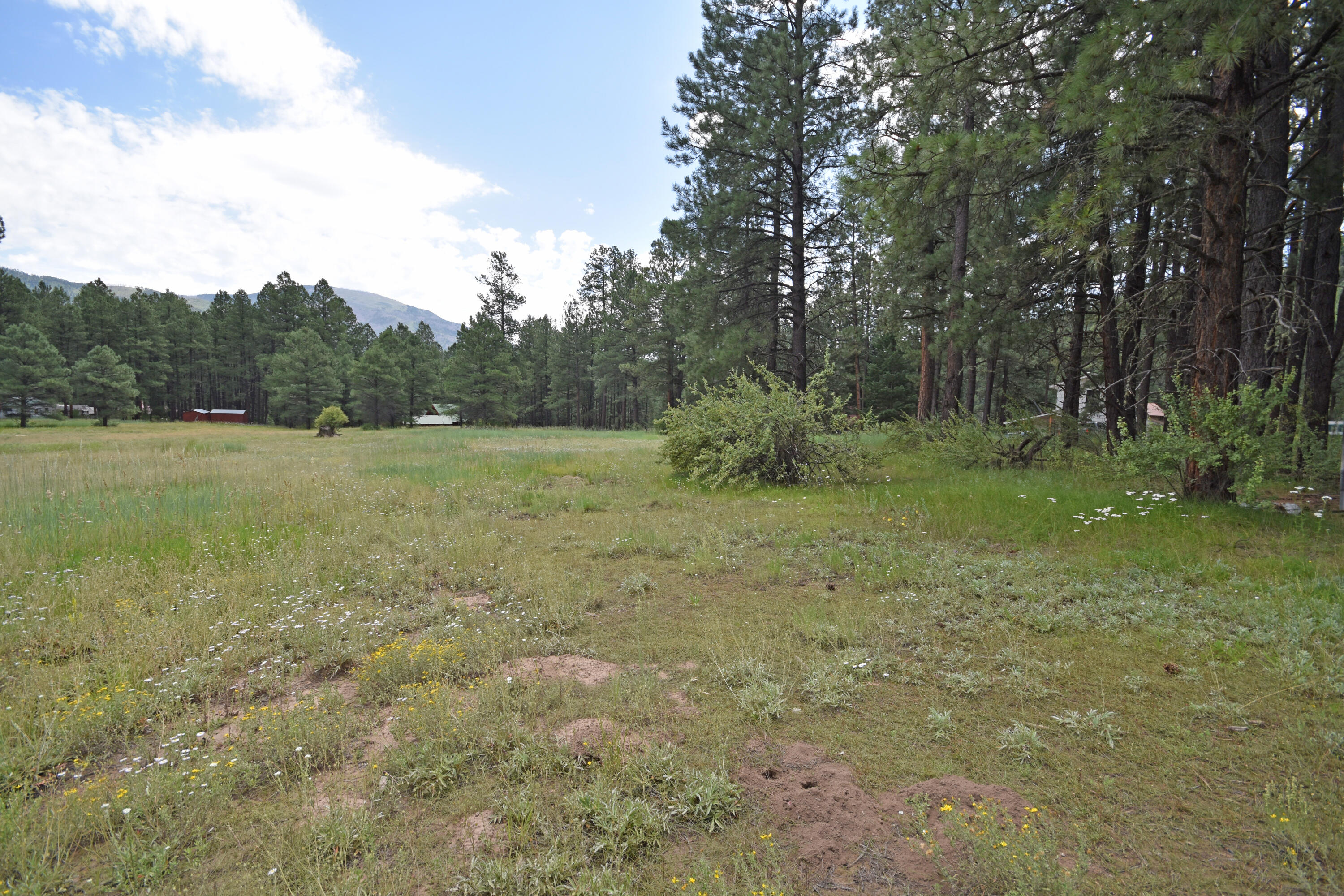 Lot 1 Hidden Valley Road, Jemez Springs, New Mexico image 3