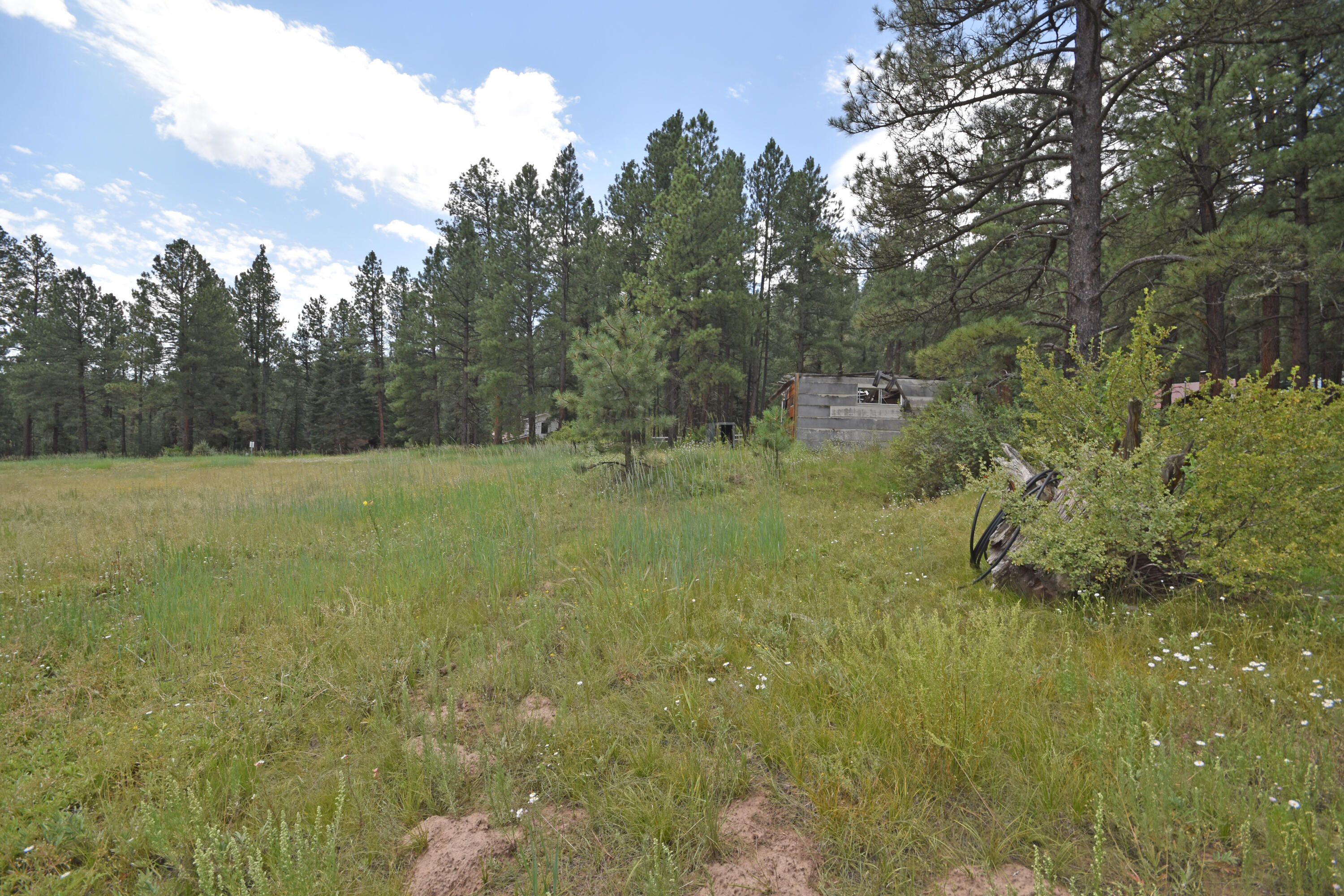 Lot 1 Hidden Valley Road, Jemez Springs, New Mexico image 4