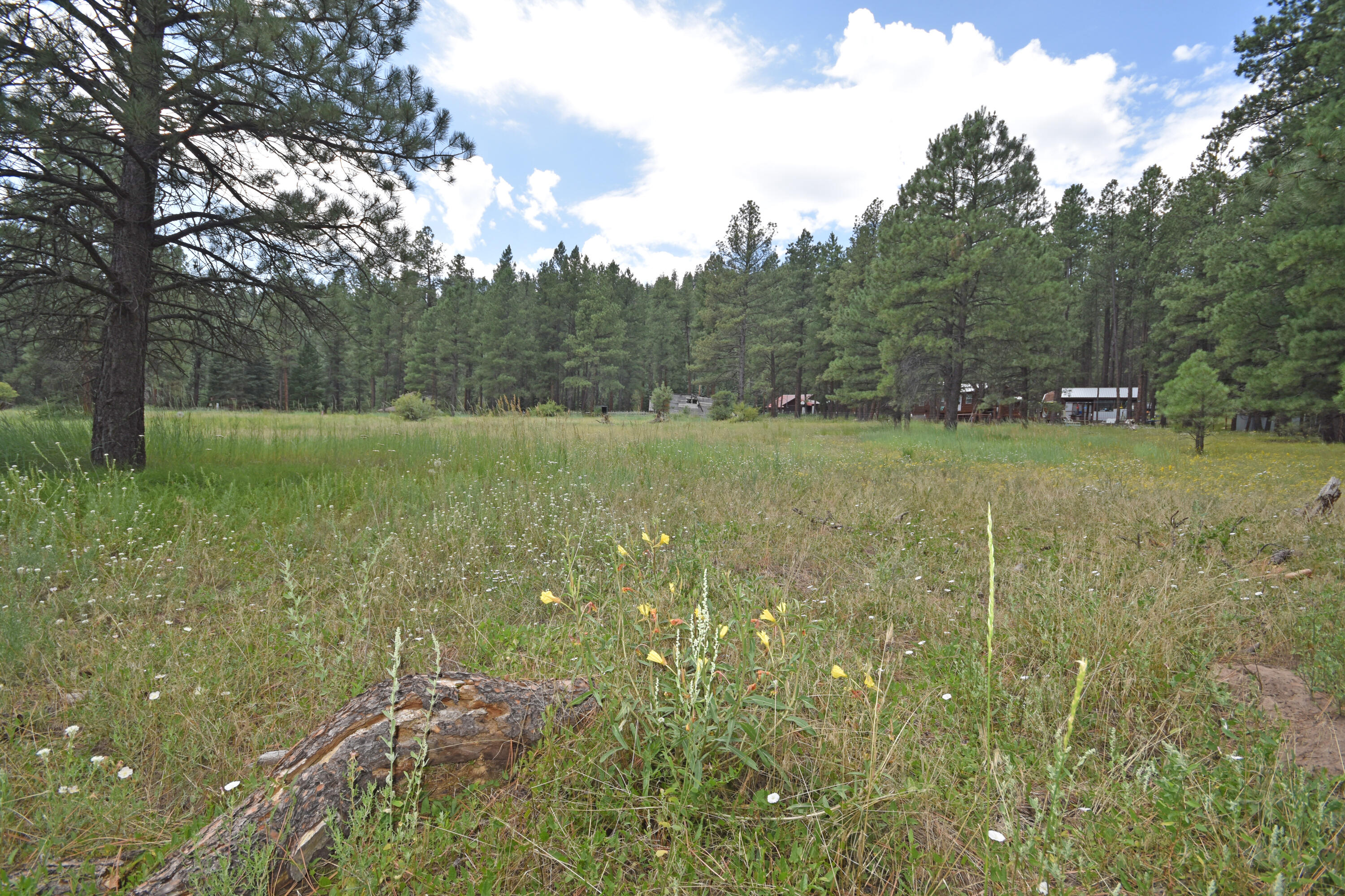 Lot 1 Hidden Valley Road, Jemez Springs, New Mexico image 1