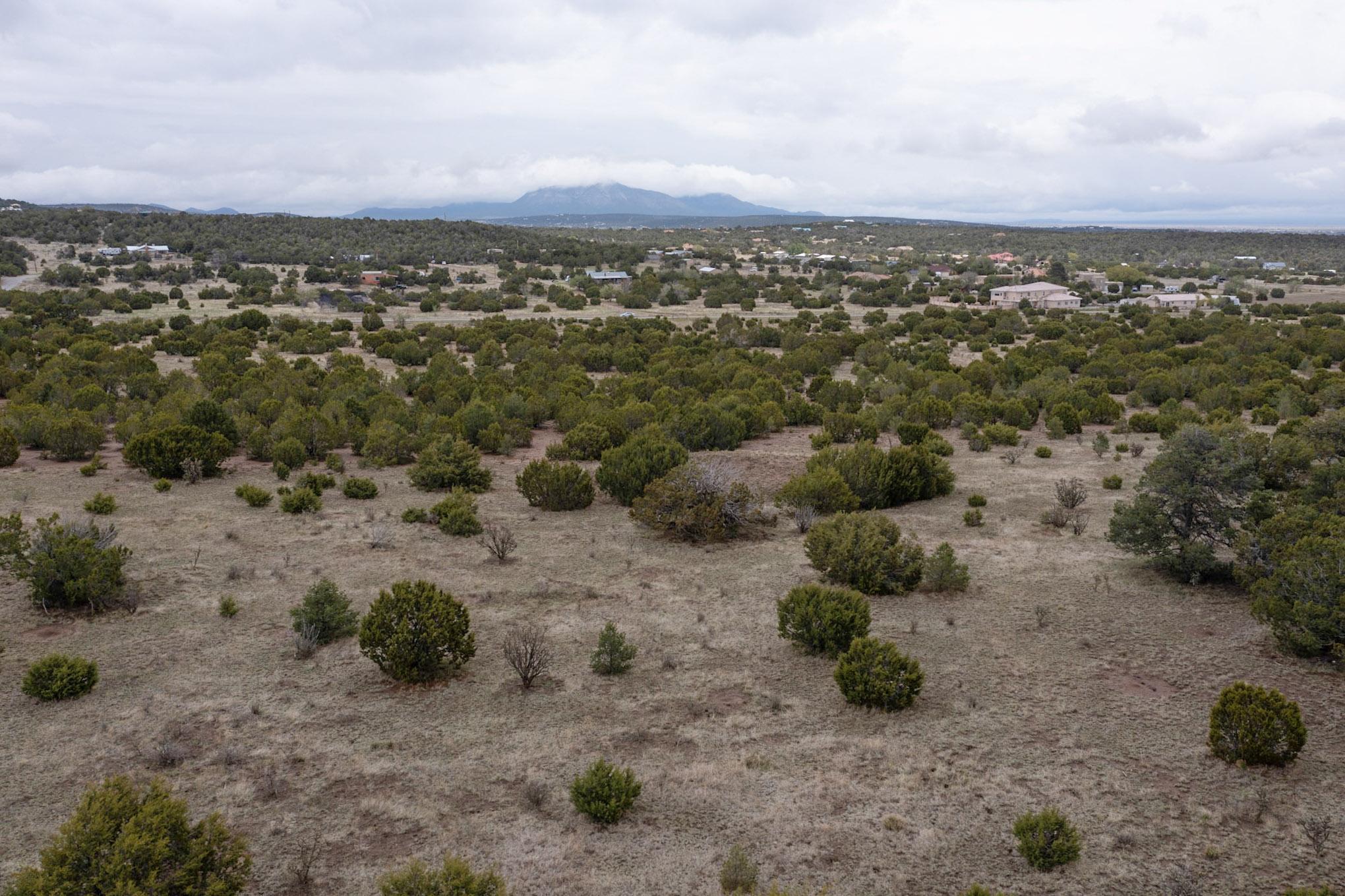 685 Nm 217, Tijeras, New Mexico image 11