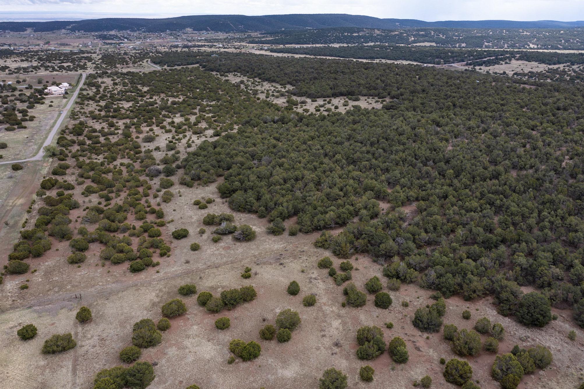 685 Nm 217, Tijeras, New Mexico image 16