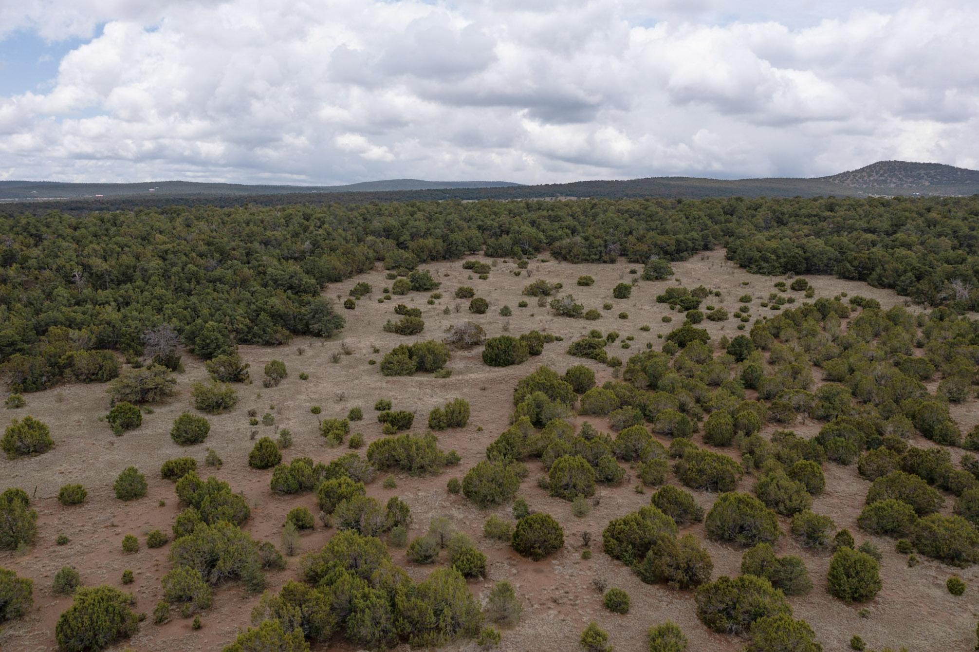 685 Nm 217, Tijeras, New Mexico image 9