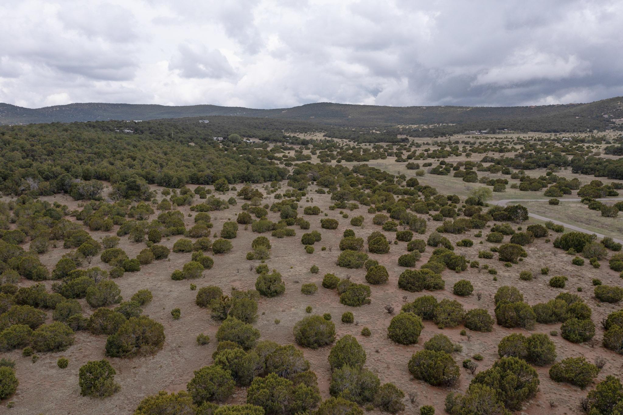 685 Nm 217, Tijeras, New Mexico image 8