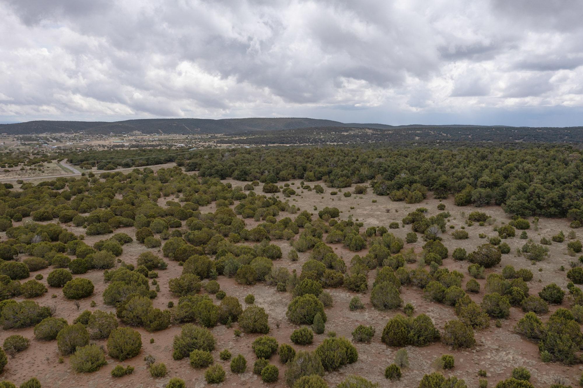 685 Nm 217, Tijeras, New Mexico image 10
