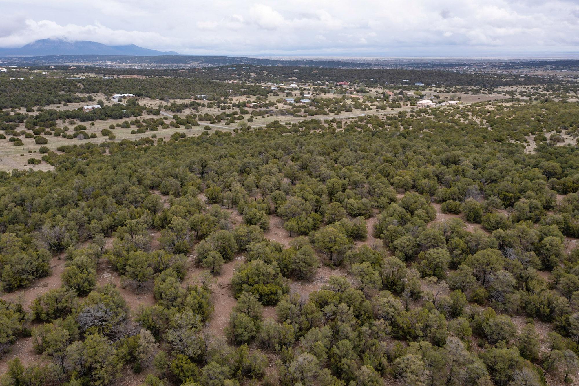 685 Nm 217, Tijeras, New Mexico image 5