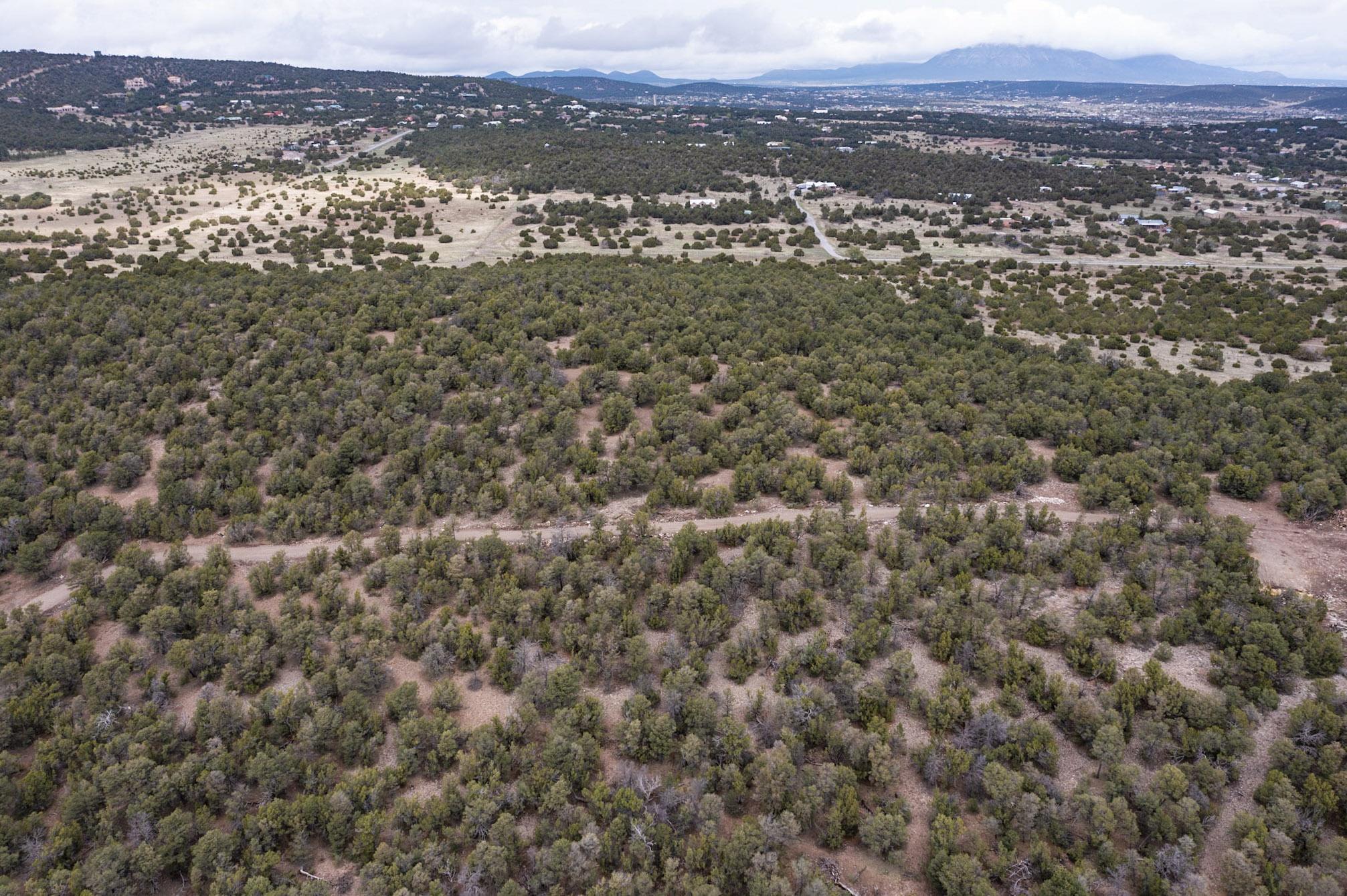 685 Nm 217, Tijeras, New Mexico image 4