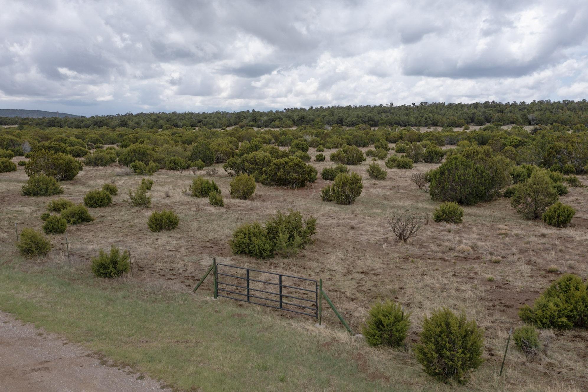 685 Nm 217, Tijeras, New Mexico image 13