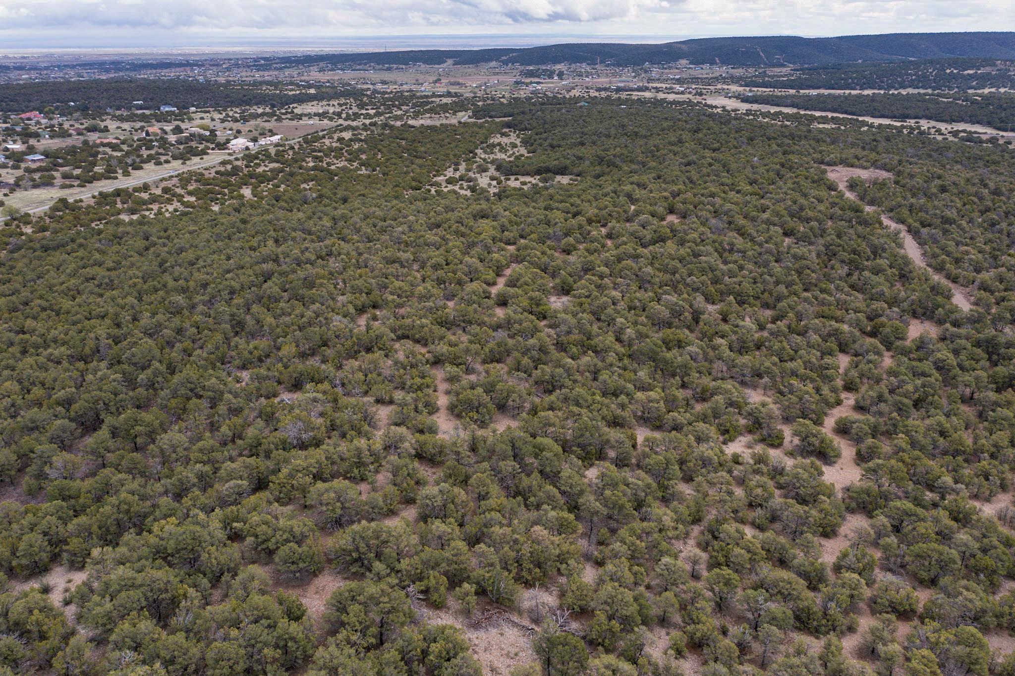 685 Nm 217, Tijeras, New Mexico image 2
