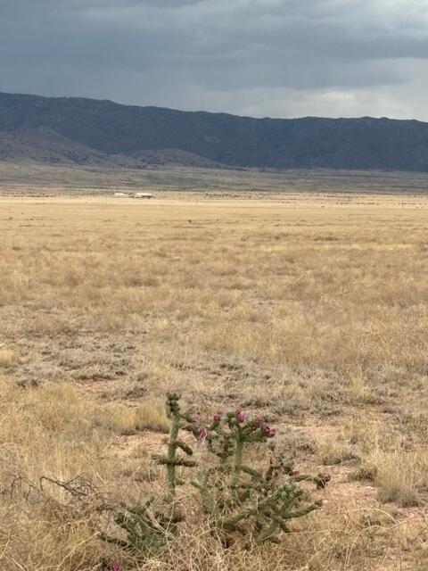 Lot20blK21 MANCHA MORA DR