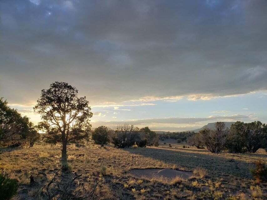 278 Thomas Iv Road, Datil, New Mexico image 26