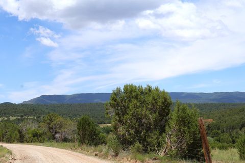 Vacant Land For Sale - LOT 5 Sherwood Forest<br/> Torreon, NM 87061