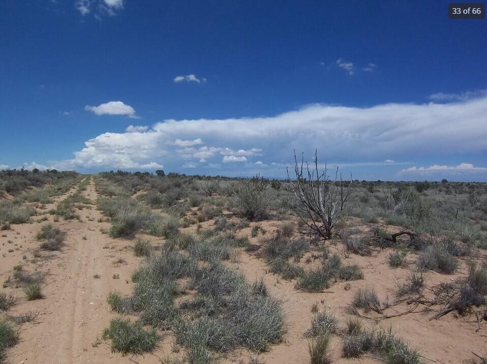 41st Avenue, Rio Rancho, New Mexico image 10
