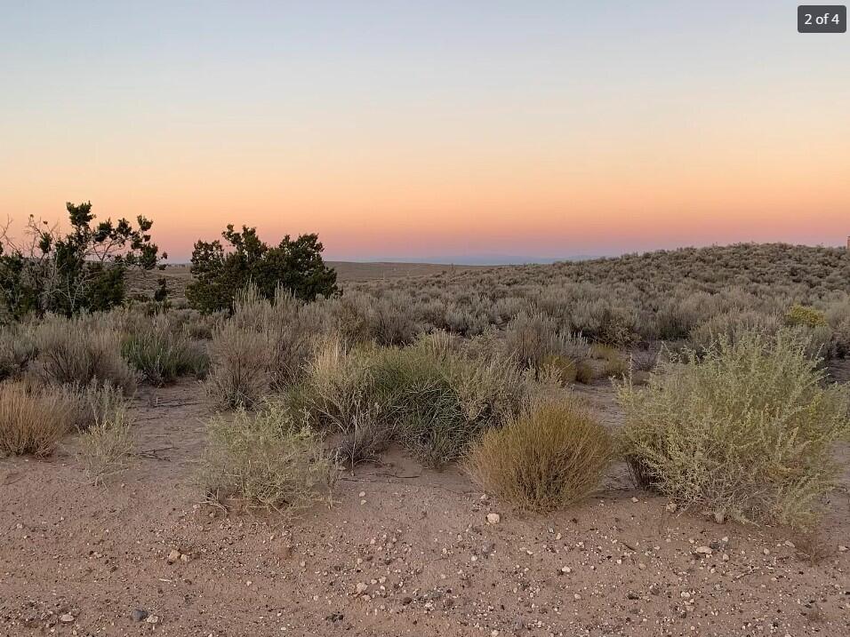 41st Avenue, Rio Rancho, New Mexico image 4