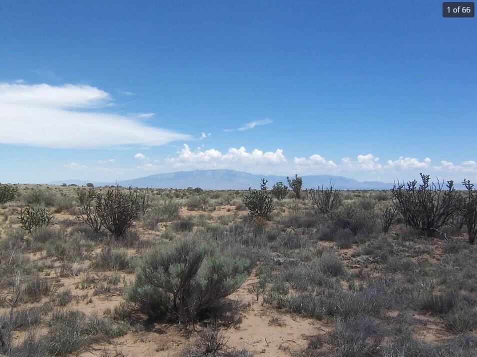 41st Avenue, Rio Rancho, New Mexico image 5