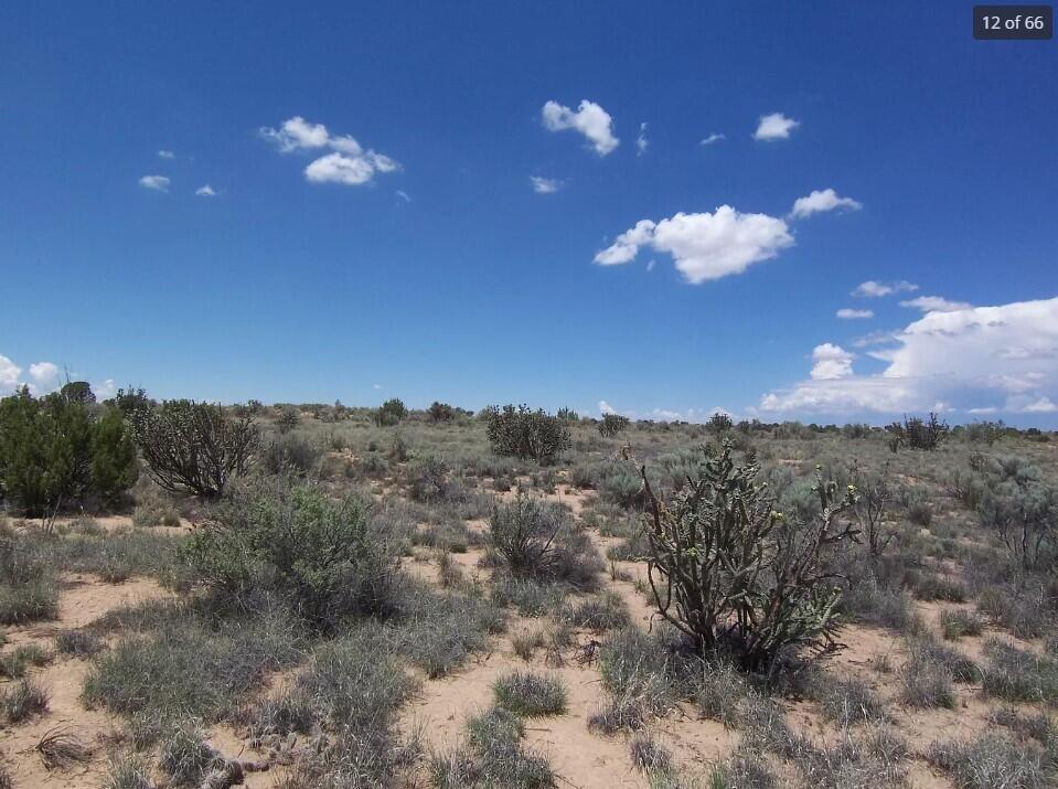 41st Avenue, Rio Rancho, New Mexico image 8