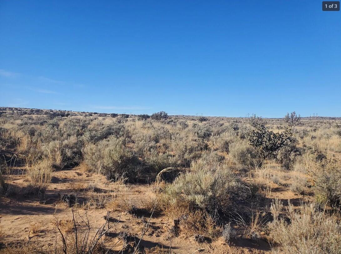 41st Avenue, Rio Rancho, New Mexico image 12