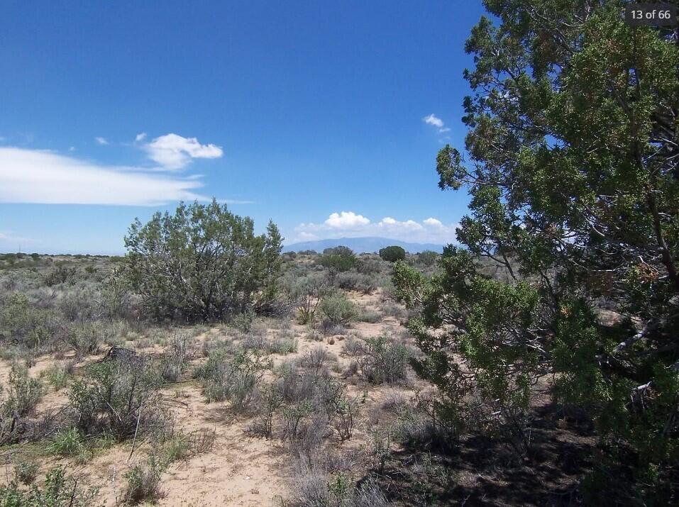 41st Avenue, Rio Rancho, New Mexico image 9