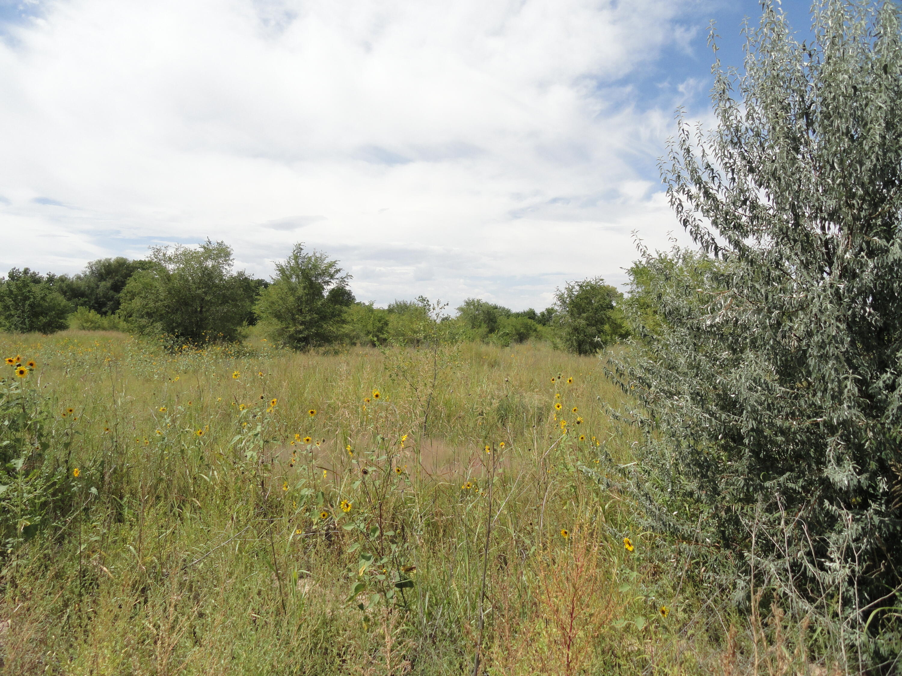 Molina Road Tract 5