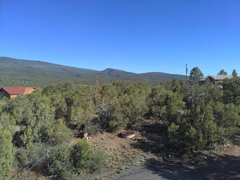 Vacant Land For Sale - 5 Mulberry Loop<br/> Cedar Crest, NM 87008