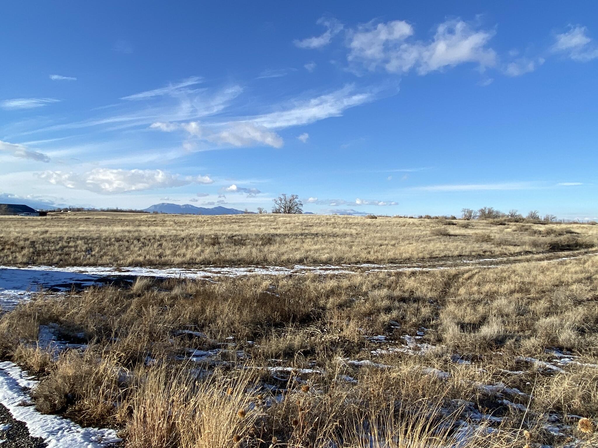 Homestead (tr 3-r-1-a) Drive, Moriarty, New Mexico image 4