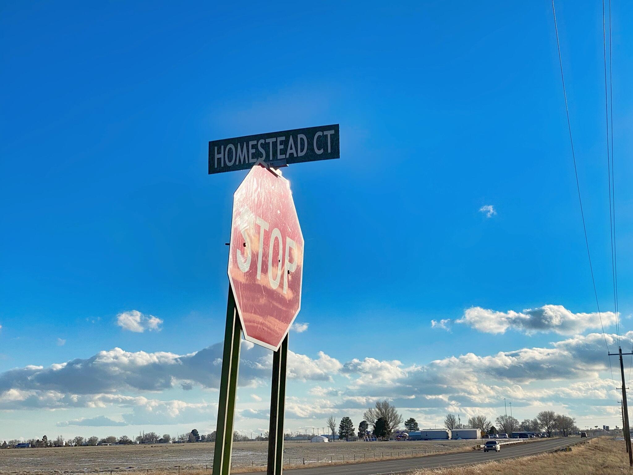 Homestead (tr 3-r-1-a) Drive, Moriarty, New Mexico image 2