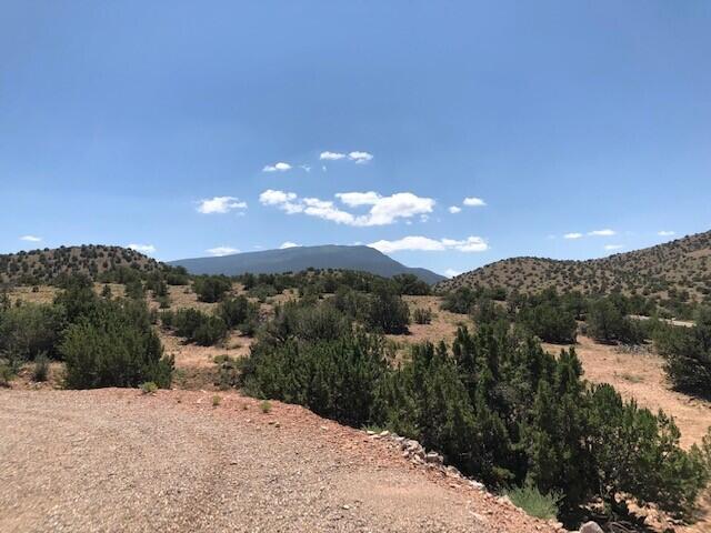 Lot 1-A Camino Del Cuervo, Placitas, New Mexico image 24