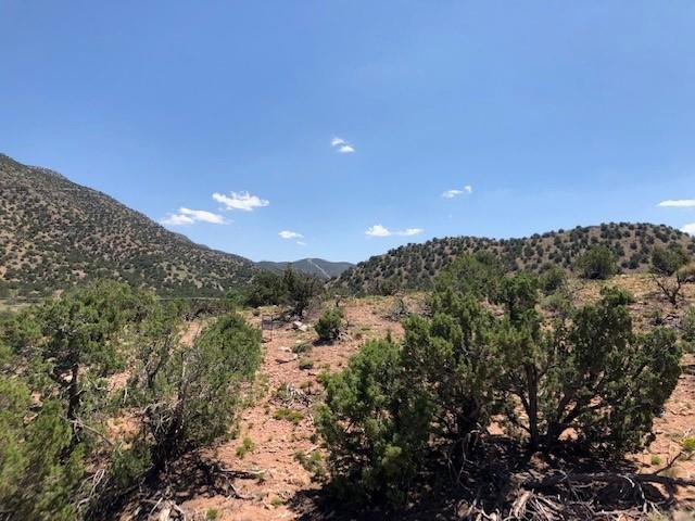 Lot 1-A Camino Del Cuervo, Placitas, New Mexico image 20