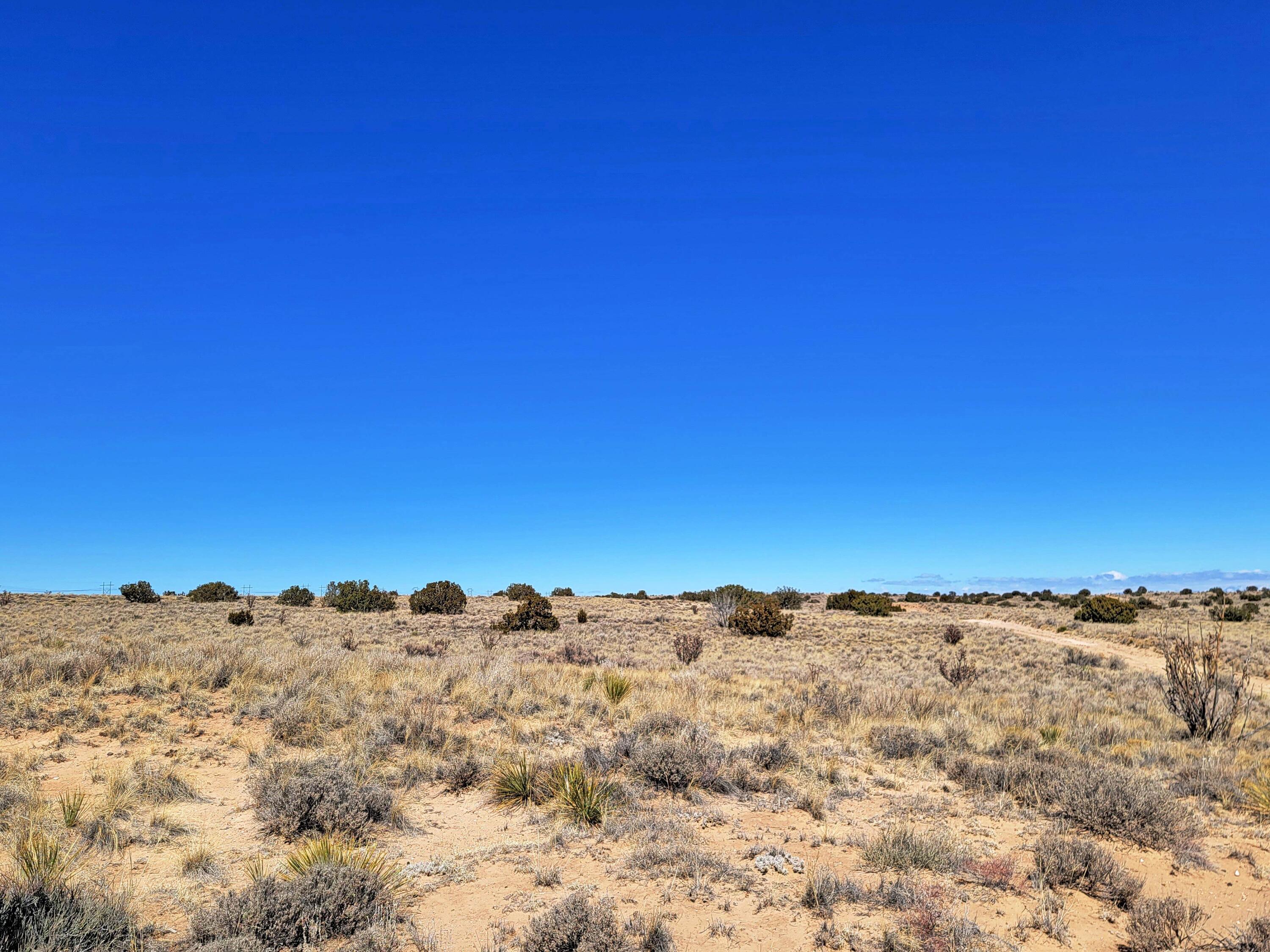 56th Street, Rio Rancho, New Mexico image 3