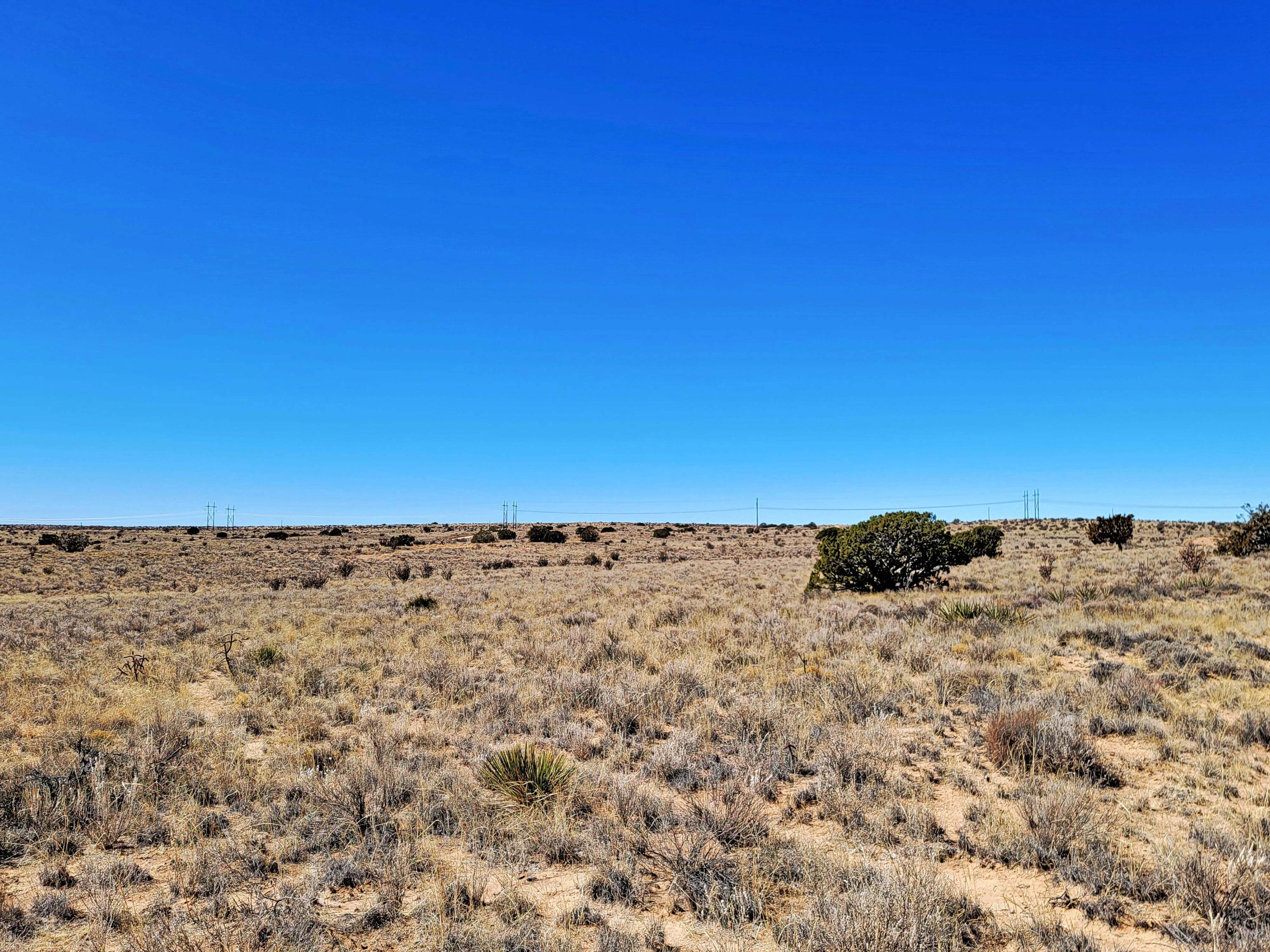 56th Street, Rio Rancho, New Mexico image 5