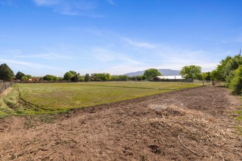 Photo of 525 Coronado Road, Corrales, NM 87048 (MLS # 1102502)