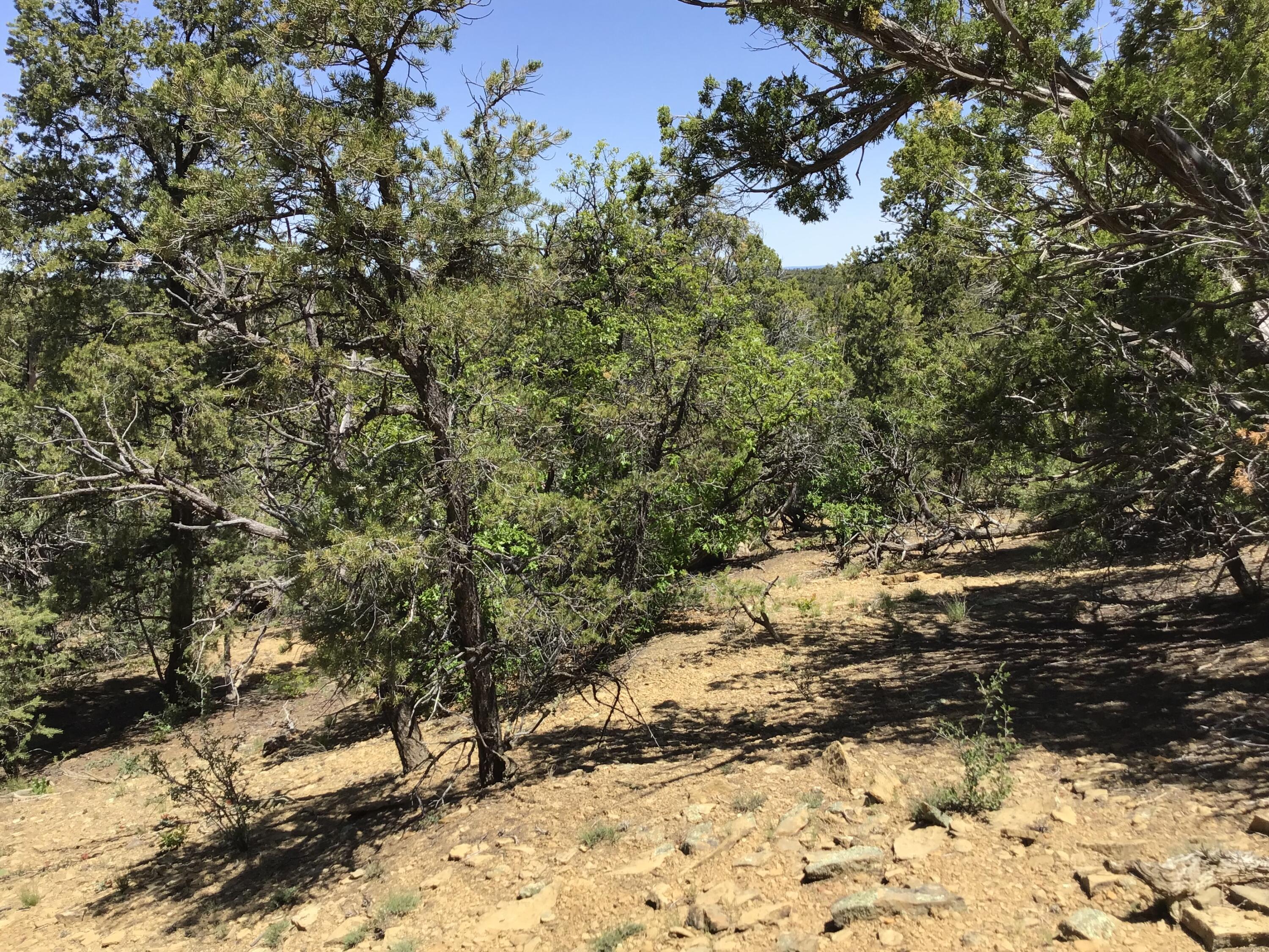 Lot 2 Ridge Road, Ramah, New Mexico image 26