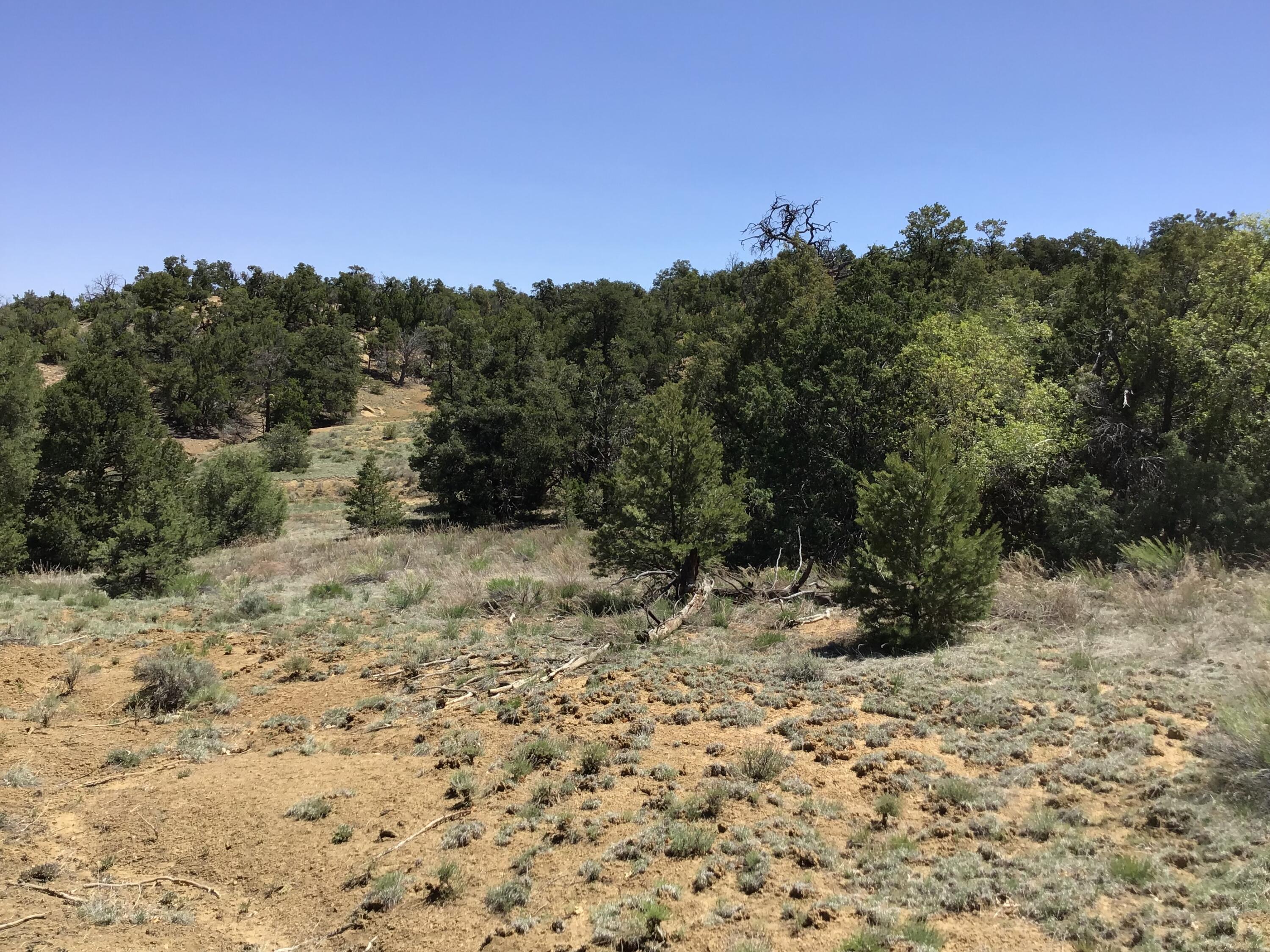 Lot 2 Ridge Road, Ramah, New Mexico image 30