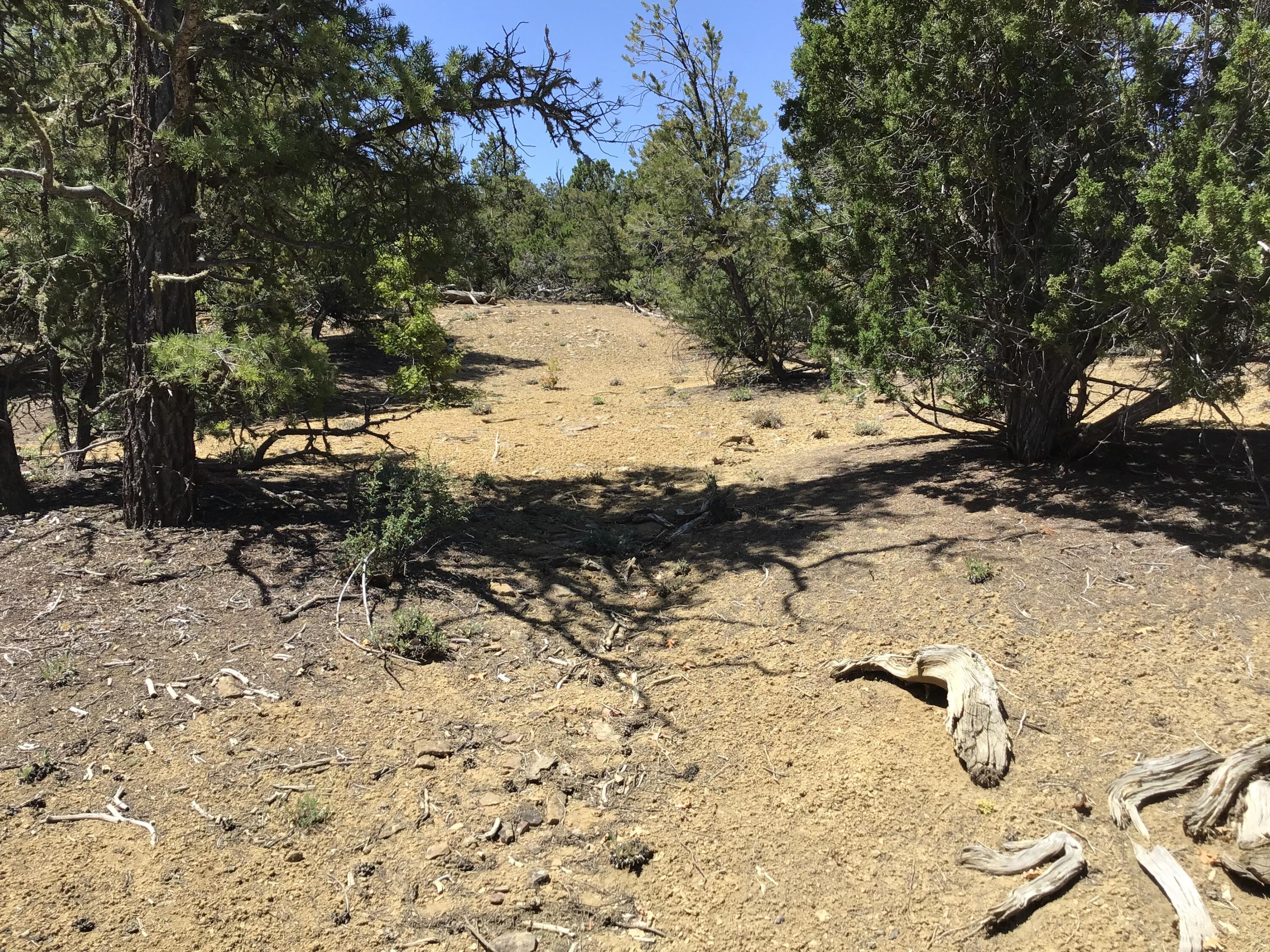 Lot 2 Ridge Road, Ramah, New Mexico image 5