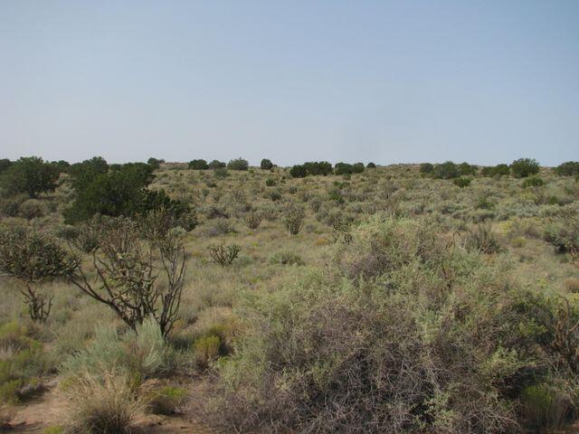 Virgo Rd Nw, Rio Rancho, New Mexico image 3