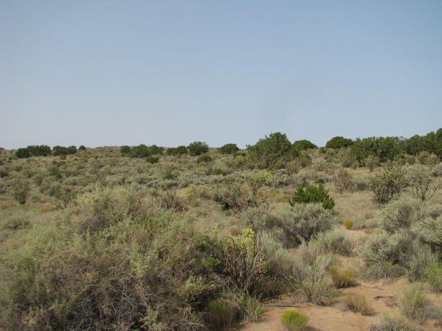 Virgo Rd Nw, Rio Rancho, New Mexico image 1