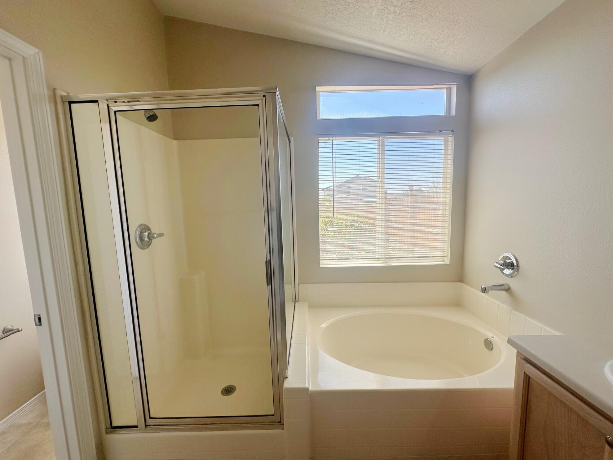 10008 Ladder Ranch Lane, Albuquerque, New Mexico image 14
