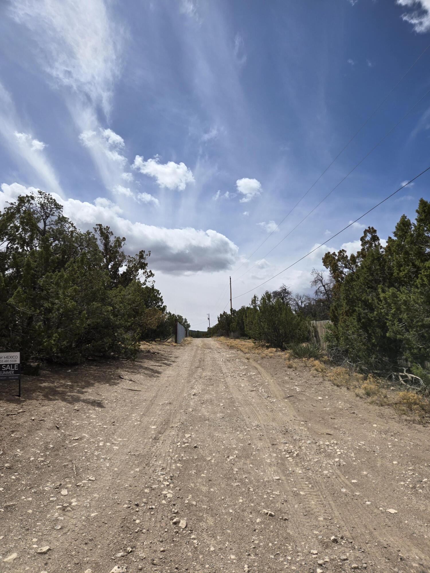 Bedrock Lane, Edgewood, New Mexico image 11
