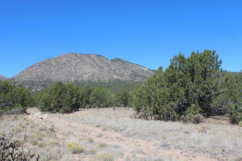 Photo of 19 Camino Monte Azul, Edgewood, NM 87015 (MLS # 1100665)
