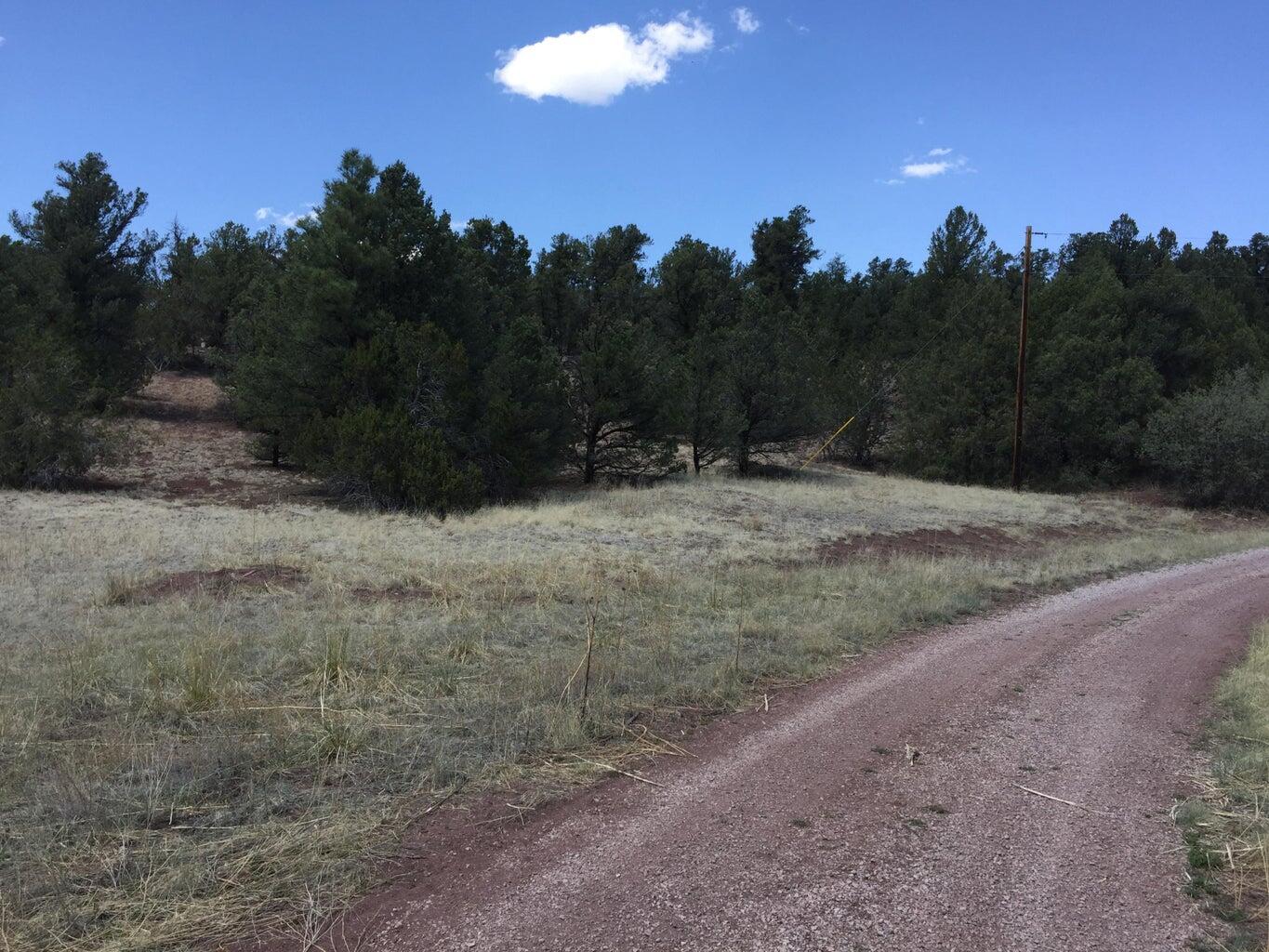 Lots 1-2 Timberlake Road, Ramah, New Mexico image 3