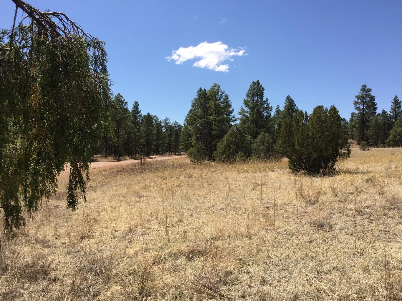 Lots 1-2 Timberlake Road, Ramah, New Mexico image 10