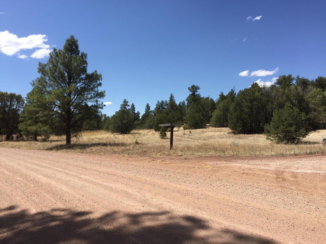 Lots 1-2 Timberlake Road, Ramah, New Mexico image 5