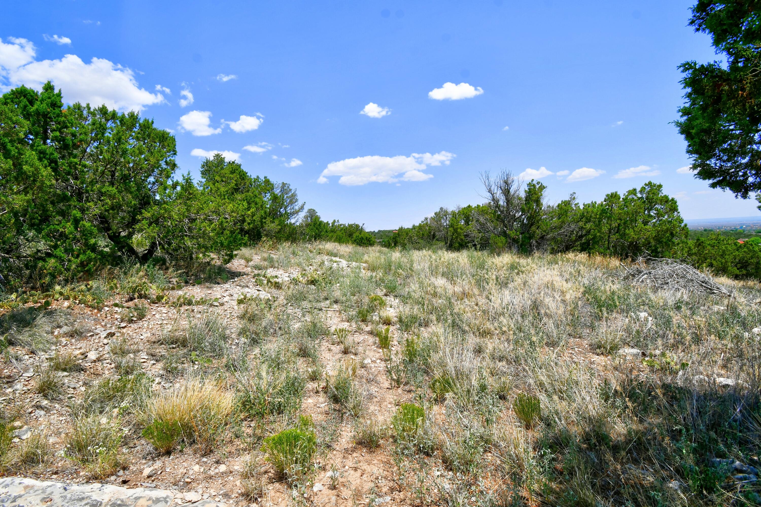 Unassigned Road, Edgewood, New Mexico image 6