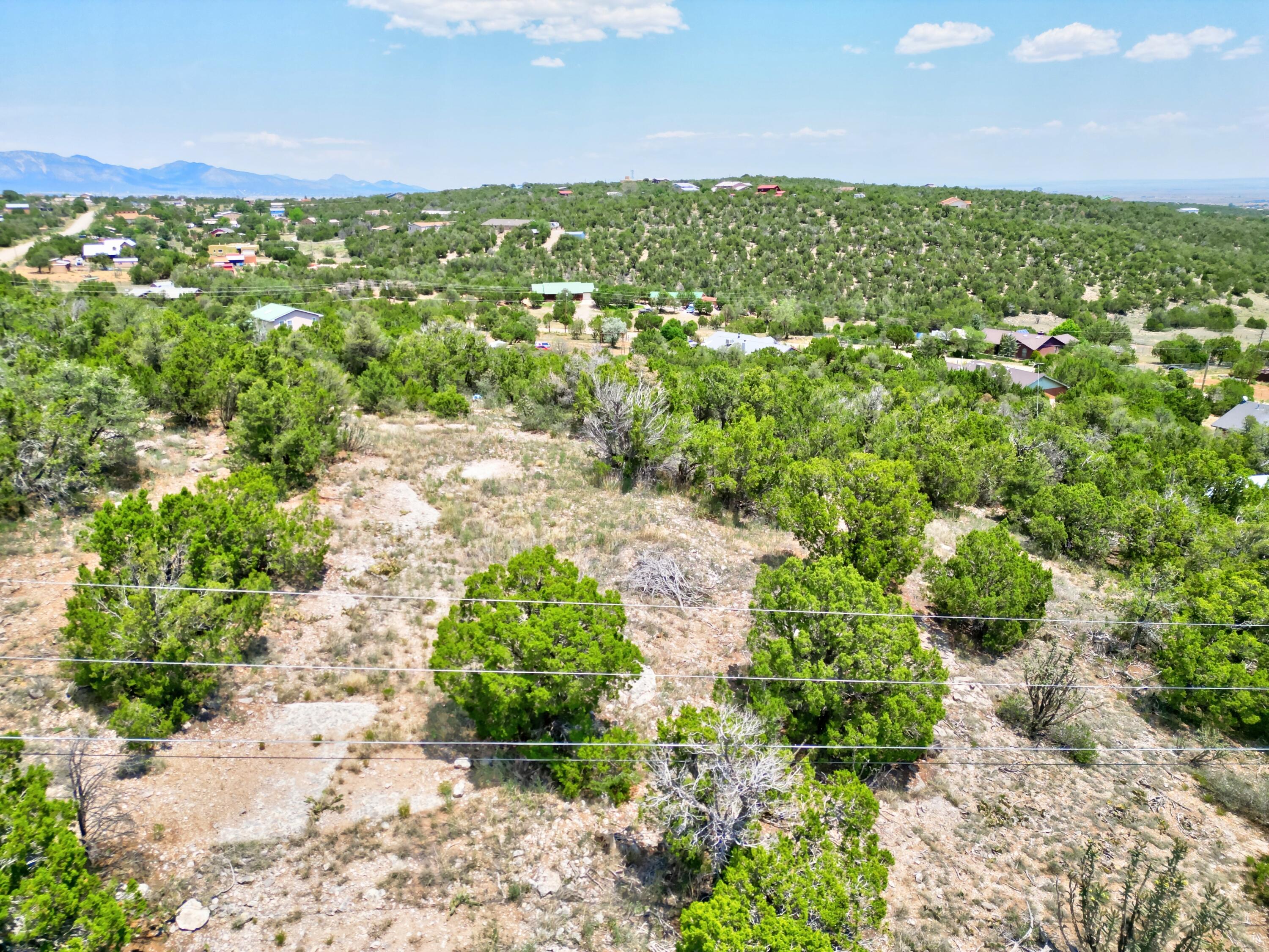 Unassigned Road, Edgewood, New Mexico image 12