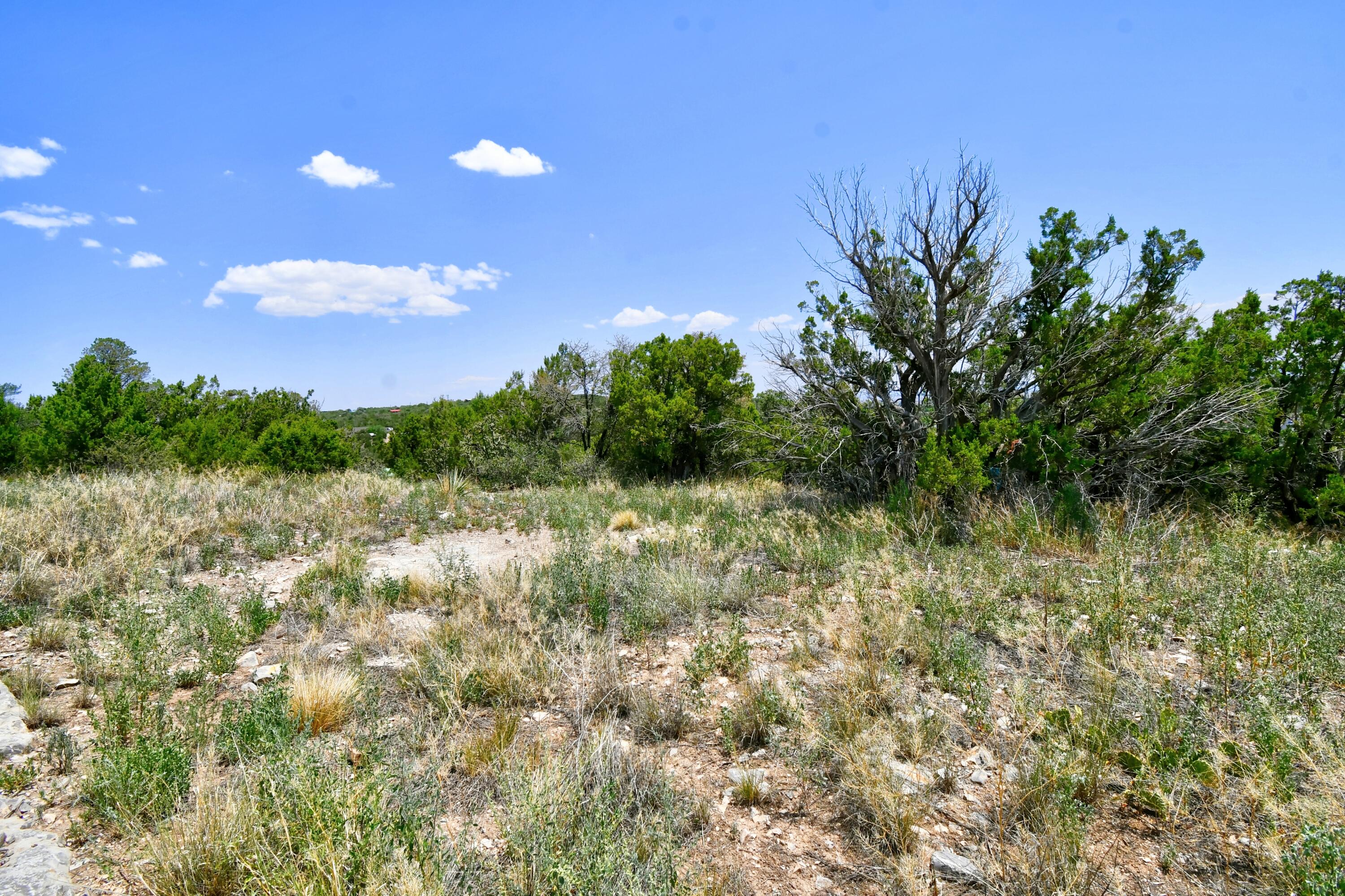 Unassigned Road, Edgewood, New Mexico image 10