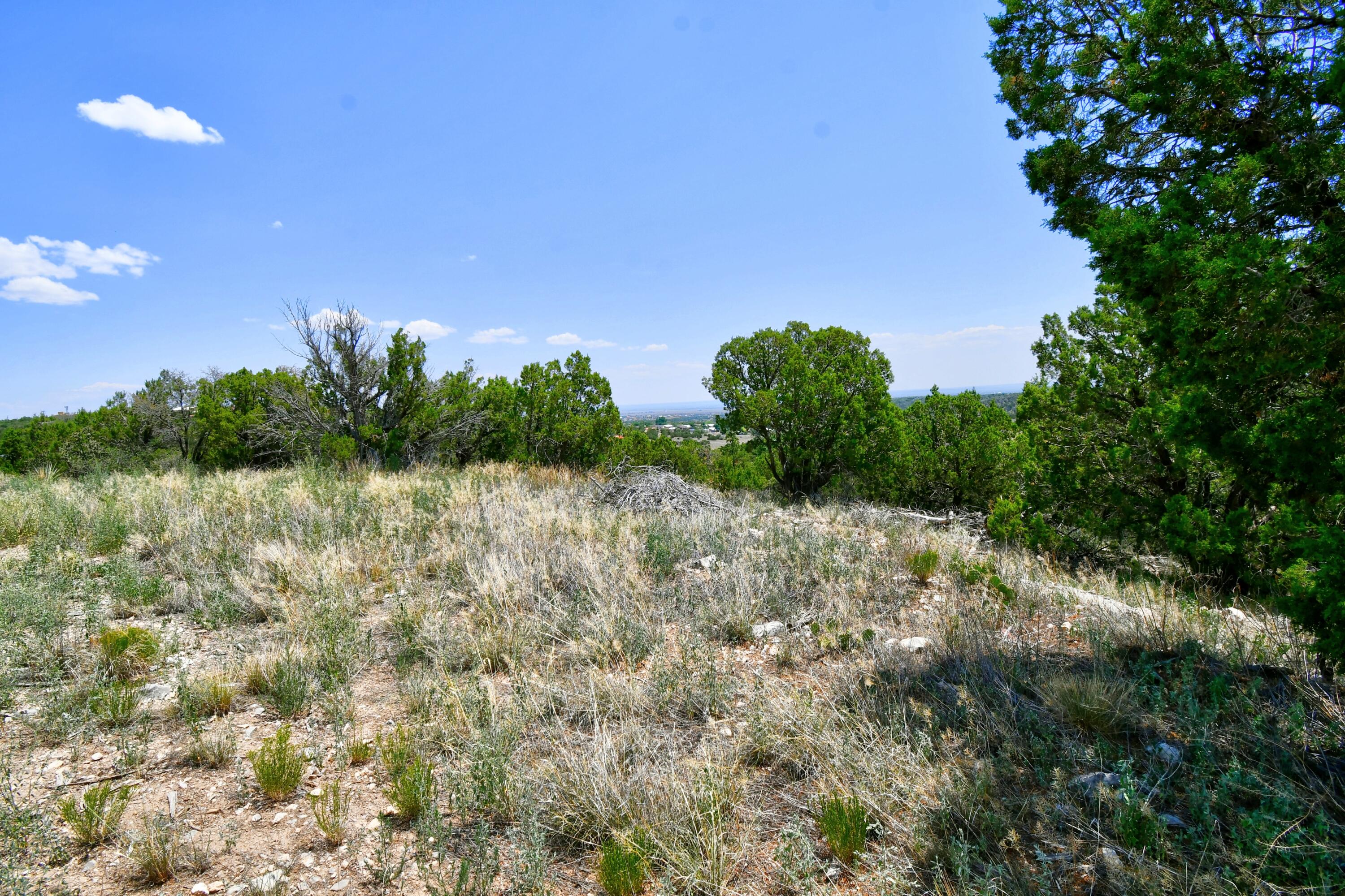 Unassigned Road, Edgewood, New Mexico image 7