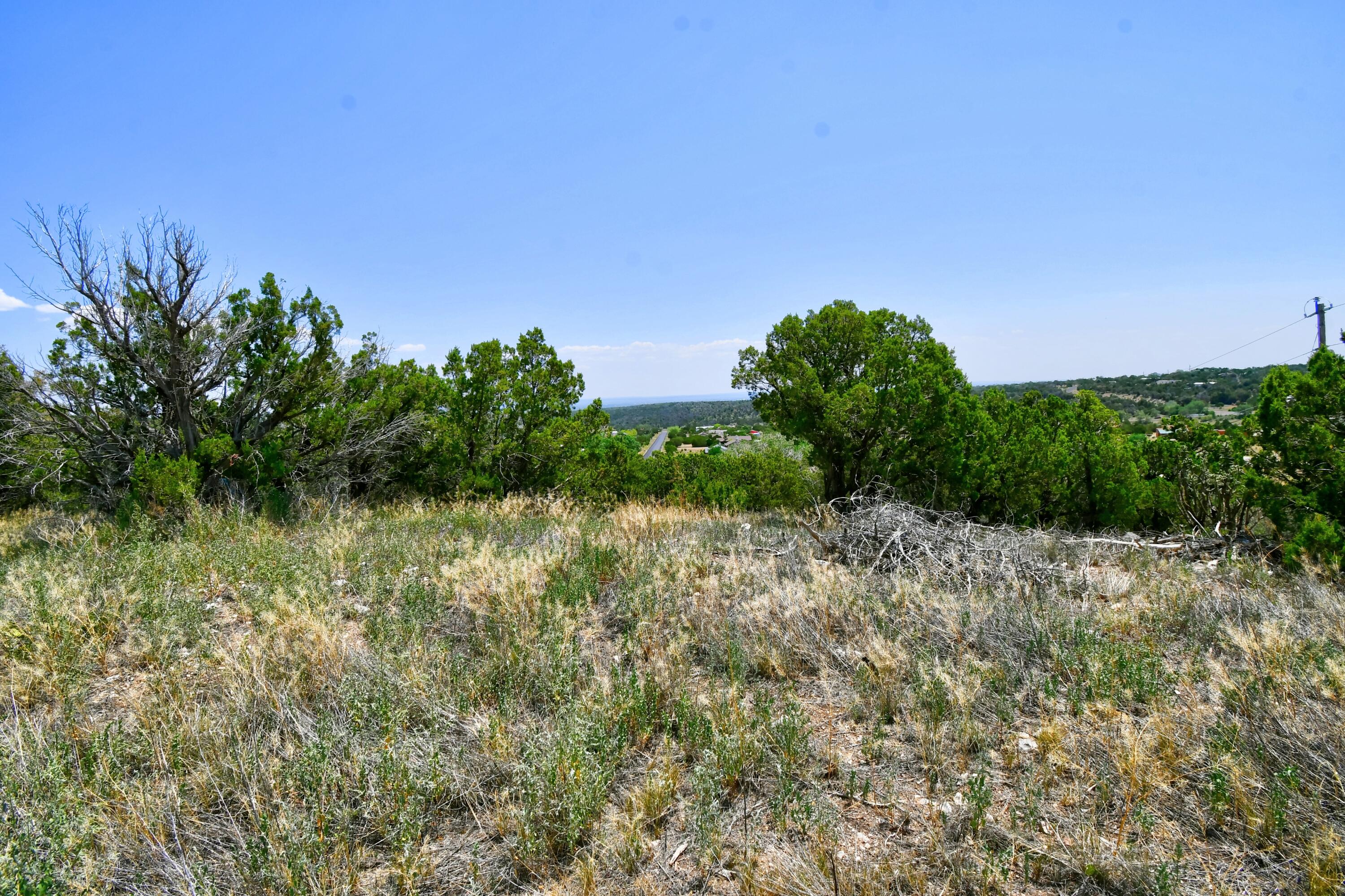 Unassigned Road, Edgewood, New Mexico image 9