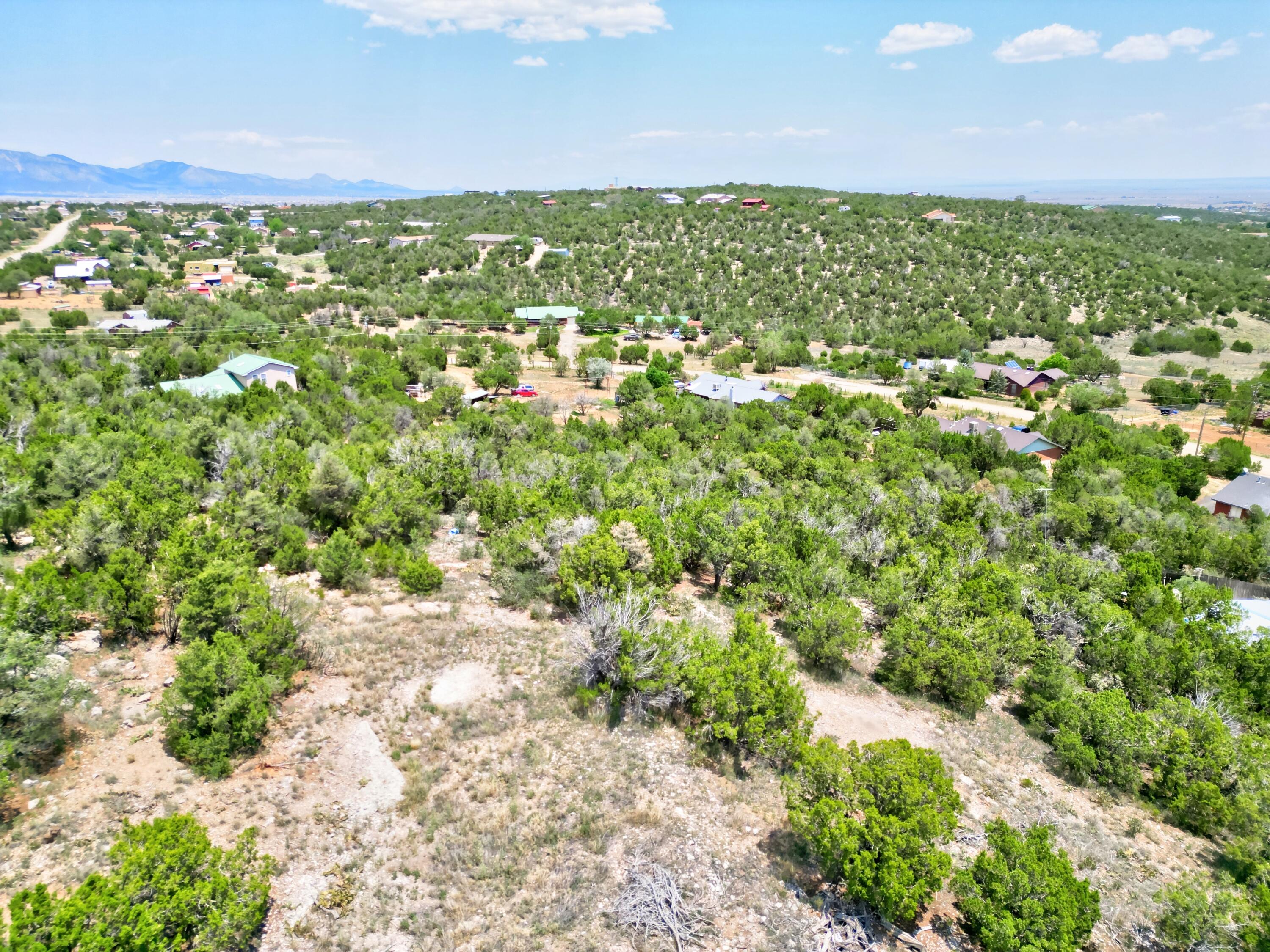 Unassigned Road, Edgewood, New Mexico image 13